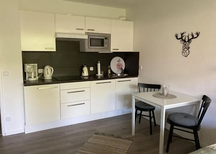 Lotte 公寓 戈斯拉尔